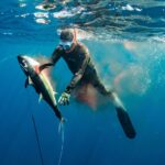 Spearfishing in Baja